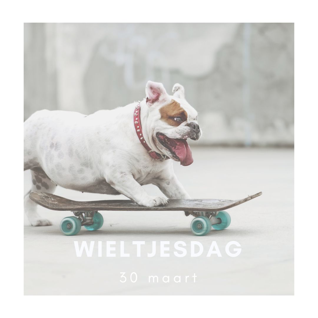 wieltjesdag
